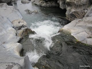 cantara gurne06-01-2014 19-26-45